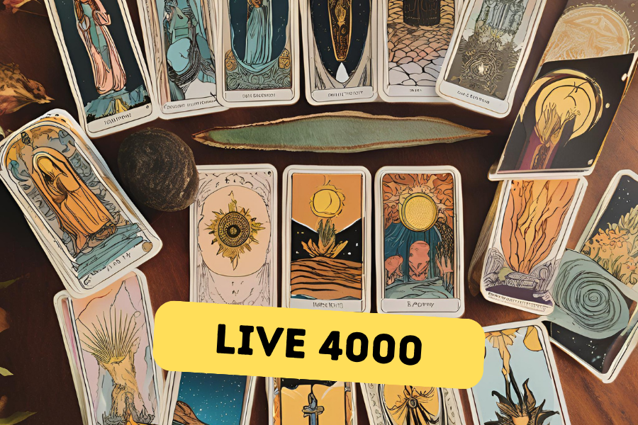 Live spécial pour les 4000 abonnés de la chaine YouTube&nbsp;!
